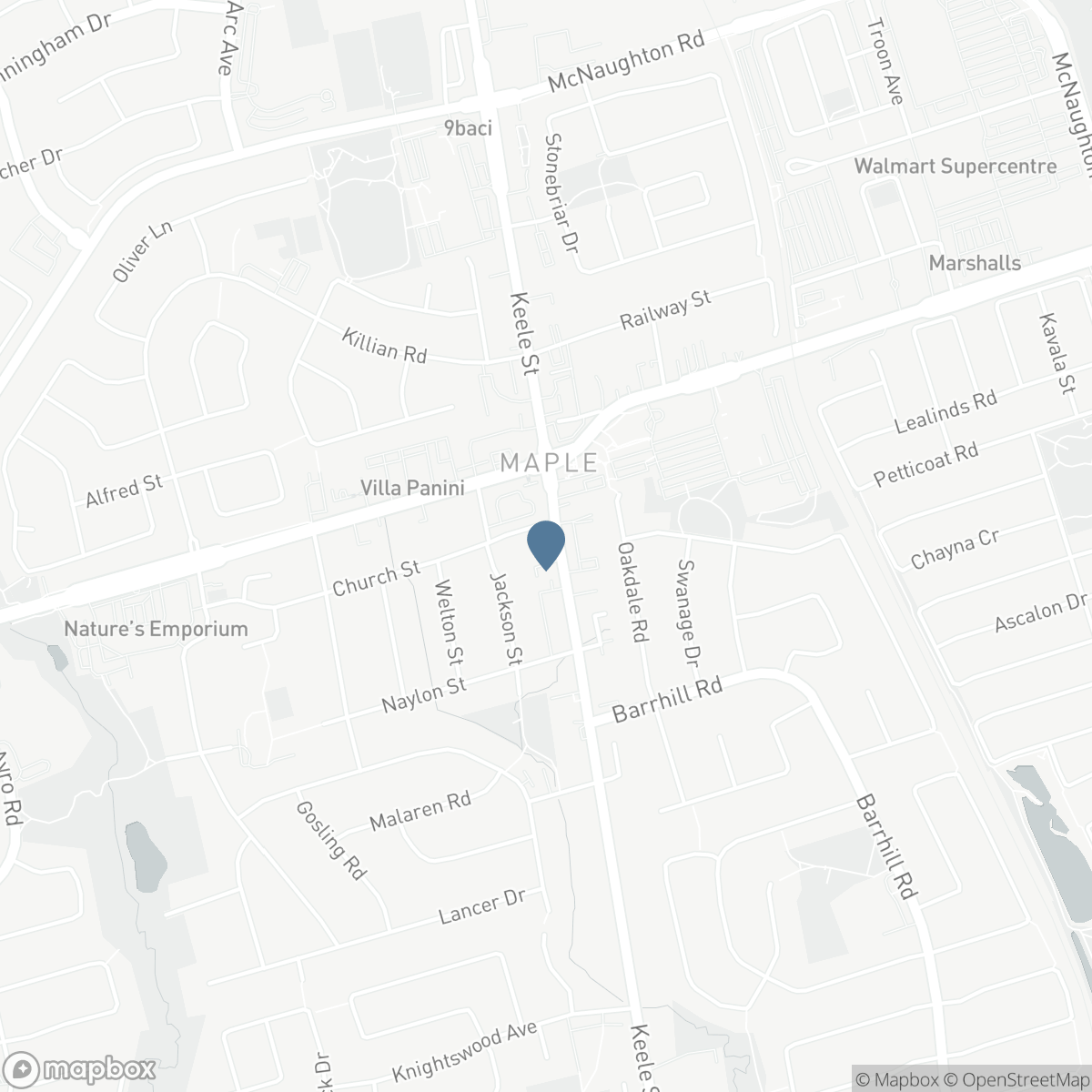 102 - 9944 KEELE STREET, Vaughan, Ontario L6A 3Z4